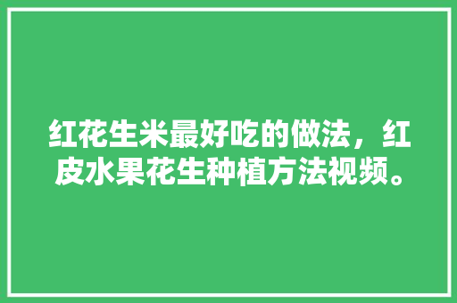 红花生米最好吃的做法，红皮水果花生种植方法视频。 红花生米最好吃的做法，红皮水果花生种植方法视频。 畜牧养殖