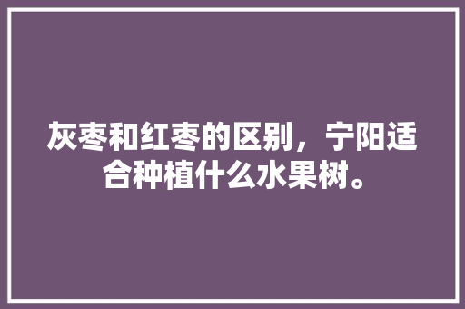 灰枣和红枣的区别，宁阳适合种植什么水果树。 灰枣和红枣的区别，宁阳适合种植什么水果树。 畜牧养殖