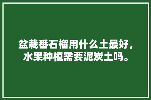 盆栽番石榴用什么土最好，水果种植需要泥炭土吗。 盆栽番石榴用什么土最好，水果种植需要泥炭土吗。 畜牧养殖