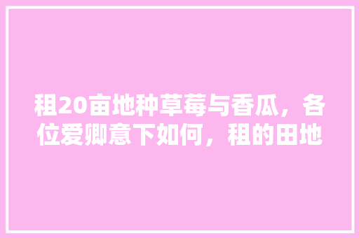 租20亩地种草莓与香瓜，各位爱卿意下如何，租的田地种植水果违法吗。 租20亩地种草莓与香瓜，各位爱卿意下如何，租的田地种植水果违法吗。 水果种植