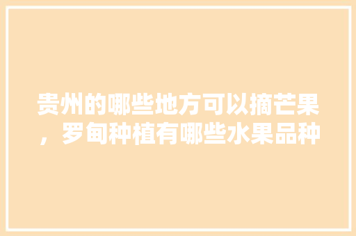 贵州的哪些地方可以摘芒果，罗甸种植有哪些水果品种。 贵州的哪些地方可以摘芒果，罗甸种植有哪些水果品种。 水果种植