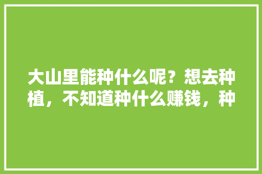 大山里能种什么呢？想去种植，不知道种什么赚钱，种植水果揭秘图片大全大图。 大山里能种什么呢？想去种植，不知道种什么赚钱，种植水果揭秘图片大全大图。 蔬菜种植