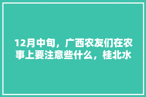 12月中旬，广西农友们在农事上要注意些什么，桂北水果种植面积多少亩。 12月中旬，广西农友们在农事上要注意些什么，桂北水果种植面积多少亩。 家禽养殖