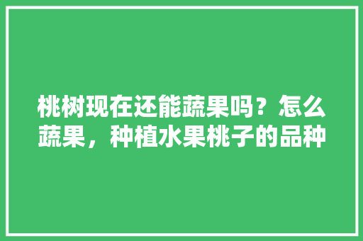 桃树现在还能蔬果吗？怎么蔬果，种植水果桃子的品种介绍。 桃树现在还能蔬果吗？怎么蔬果，种植水果桃子的品种介绍。 蔬菜种植