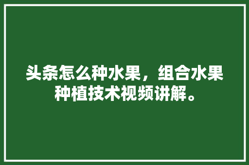 头条怎么种水果，组合水果种植技术视频讲解。 头条怎么种水果，组合水果种植技术视频讲解。 水果种植