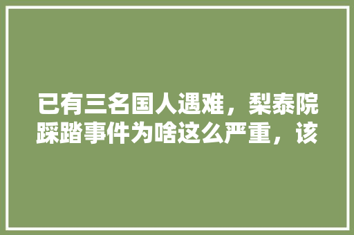 已有三名国人遇难，梨泰院踩踏事件为啥这么严重，该如何避免危险，陡坡种植水果的好处是什么。 已有三名国人遇难，梨泰院踩踏事件为啥这么严重，该如何避免危险，陡坡种植水果的好处是什么。 土壤施肥