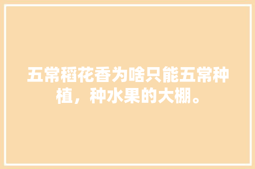 五常稻花香为啥只能五常种植，种水果的大棚。 五常稻花香为啥只能五常种植，种水果的大棚。 水果种植