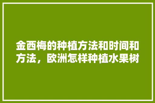 金西梅的种植方法和时间和方法，欧洲怎样种植水果树视频。 金西梅的种植方法和时间和方法，欧洲怎样种植水果树视频。 蔬菜种植