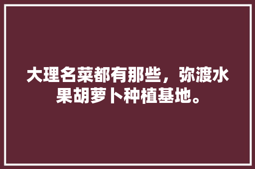 大理名菜都有那些，弥渡水果胡萝卜种植基地。 大理名菜都有那些，弥渡水果胡萝卜种植基地。 水果种植