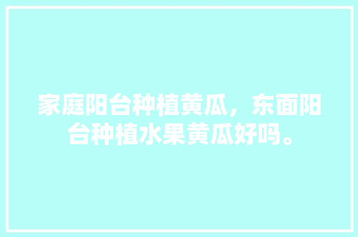 家庭阳台种植黄瓜，东面阳台种植水果黄瓜好吗。 家庭阳台种植黄瓜，东面阳台种植水果黄瓜好吗。 畜牧养殖