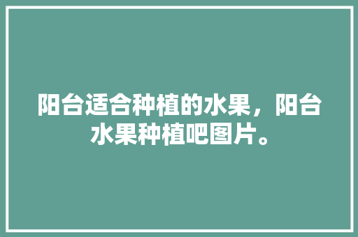 阳台适合种植的水果，阳台水果种植吧图片。 阳台适合种植的水果，阳台水果种植吧图片。 土壤施肥