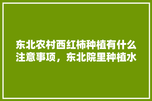 东北农村西红柿种植有什么注意事项，东北院里种植水果好吗。 东北农村西红柿种植有什么注意事项，东北院里种植水果好吗。 蔬菜种植