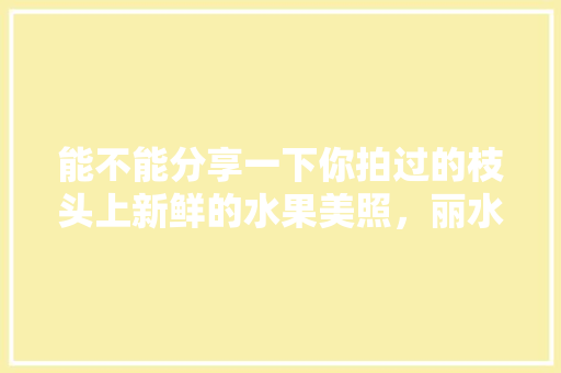 能不能分享一下你拍过的枝头上新鲜的水果美照，丽水水果榴莲种植基地在哪里。 能不能分享一下你拍过的枝头上新鲜的水果美照，丽水水果榴莲种植基地在哪里。 蔬菜种植