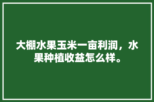 大棚水果玉米一亩利润，水果种植收益怎么样。 大棚水果玉米一亩利润，水果种植收益怎么样。 土壤施肥