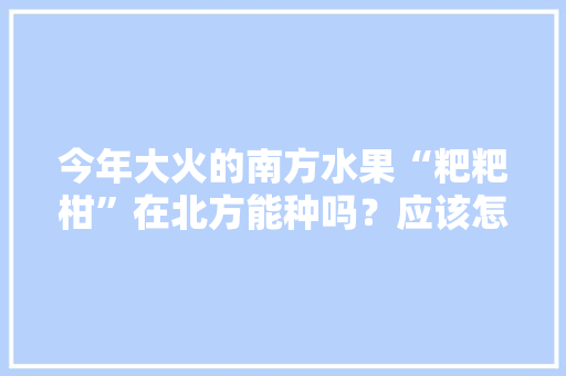 今年大火的南方水果“粑粑柑”在北方能种吗？应该怎么种植，农村柑橘水果种植技术视频。 今年大火的南方水果“粑粑柑”在北方能种吗？应该怎么种植，农村柑橘水果种植技术视频。 畜牧养殖