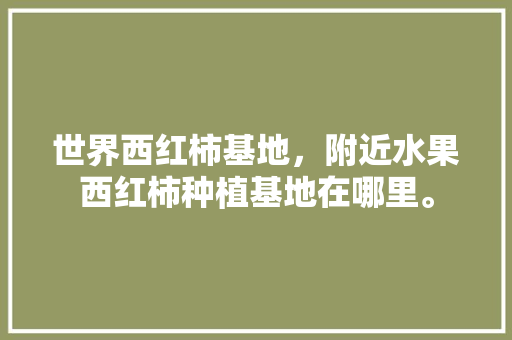 世界西红柿基地，附近水果西红柿种植基地在哪里。 世界西红柿基地，附近水果西红柿种植基地在哪里。 家禽养殖