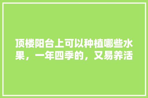 顶楼阳台上可以种植哪些水果，一年四季的，又易养活的，小型室内种植的水果有哪些。 顶楼阳台上可以种植哪些水果，一年四季的，又易养活的，小型室内种植的水果有哪些。 畜牧养殖