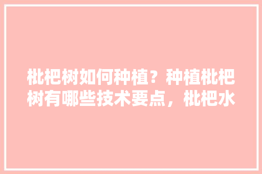 枇杷树如何种植？种植枇杷树有哪些技术要点，枇杷水果的种植方法视频。 枇杷树如何种植？种植枇杷树有哪些技术要点，枇杷水果的种植方法视频。 土壤施肥