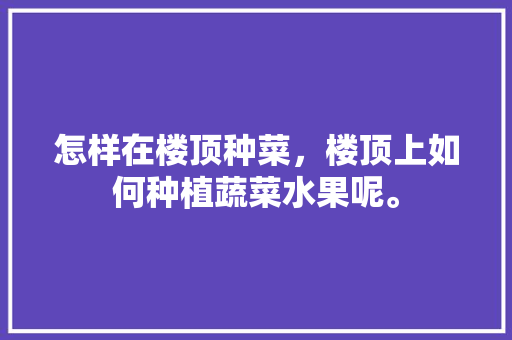 怎样在楼顶种菜，楼顶上如何种植蔬菜水果呢。 怎样在楼顶种菜，楼顶上如何种植蔬菜水果呢。 家禽养殖