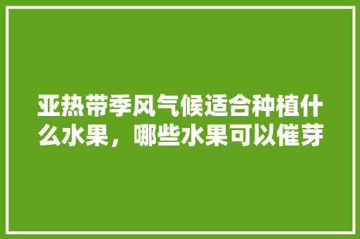 亚热带季风气候适合种植什么水果，哪些水果可以催芽种植呢。 亚热带季风气候适合种植什么水果，哪些水果可以催芽种植呢。 土壤施肥