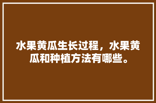 水果黄瓜生长过程，水果黄瓜和种植方法有哪些。 水果黄瓜生长过程，水果黄瓜和种植方法有哪些。 水果种植