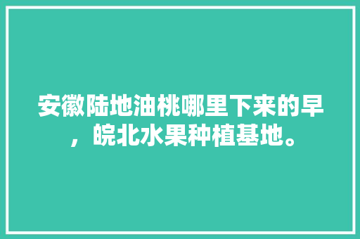 安徽陆地油桃哪里下来的早，皖北水果种植基地。 安徽陆地油桃哪里下来的早，皖北水果种植基地。 畜牧养殖