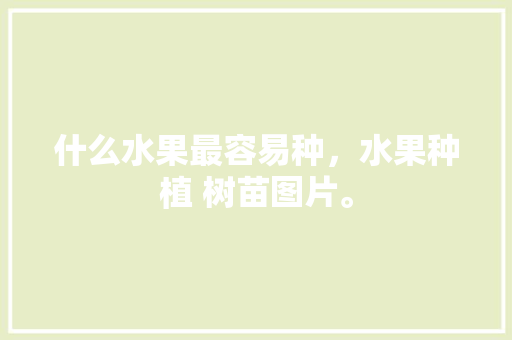 什么水果最容易种，水果种植 树苗图片。 什么水果最容易种，水果种植 树苗图片。 水果种植