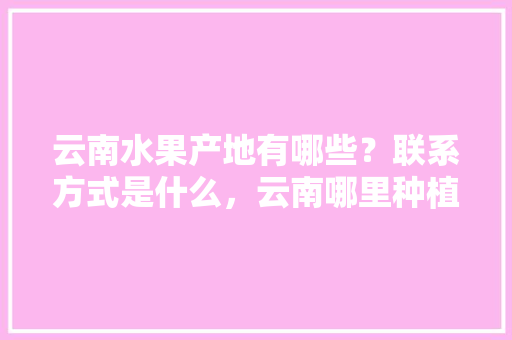 云南水果产地有哪些？联系方式是什么，云南哪里种植水果蔬菜最多。 云南水果产地有哪些？联系方式是什么，云南哪里种植水果蔬菜最多。 水果种植