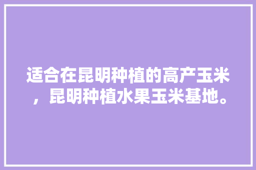 适合在昆明种植的高产玉米，昆明种植水果玉米基地。 适合在昆明种植的高产玉米，昆明种植水果玉米基地。 畜牧养殖