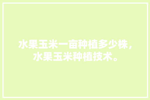 水果玉米一亩种植多少株，水果玉米种植技术。 水果玉米一亩种植多少株，水果玉米种植技术。 土壤施肥