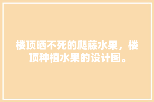 楼顶晒不死的爬藤水果，楼顶种植水果的设计图。 楼顶晒不死的爬藤水果，楼顶种植水果的设计图。 蔬菜种植