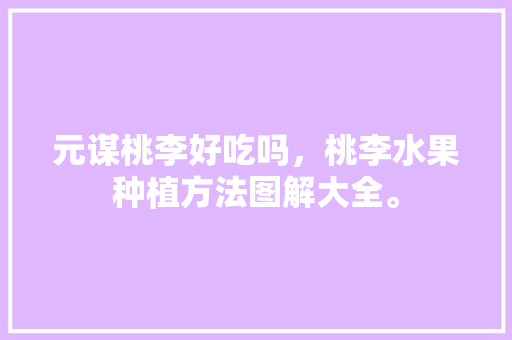 元谋桃李好吃吗，桃李水果种植方法图解大全。 元谋桃李好吃吗，桃李水果种植方法图解大全。 土壤施肥