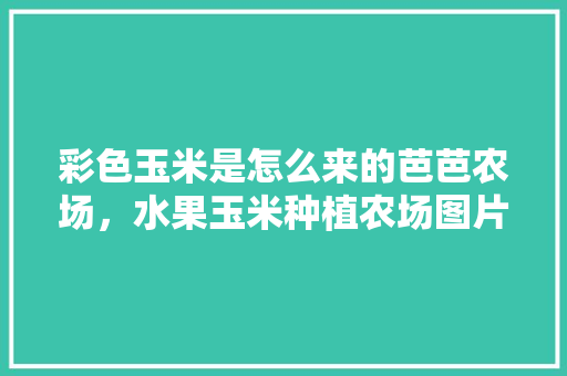 彩色玉米是怎么来的芭芭农场，水果玉米种植农场图片。 彩色玉米是怎么来的芭芭农场，水果玉米种植农场图片。 蔬菜种植