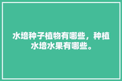 水培种子植物有哪些，种植水培水果有哪些。 水培种子植物有哪些，种植水培水果有哪些。 水果种植