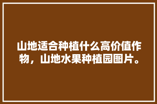 山地适合种植什么高价值作物，山地水果种植园图片。 山地适合种植什么高价值作物，山地水果种植园图片。 土壤施肥