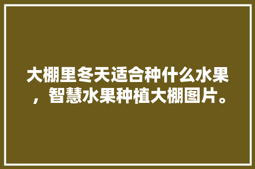 大棚里冬天适合种什么水果，智慧水果种植大棚图片。 大棚里冬天适合种什么水果，智慧水果种植大棚图片。 畜牧养殖