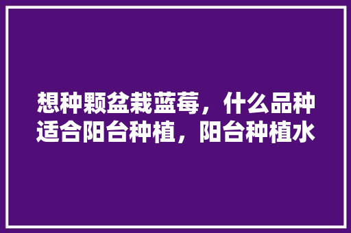 想种颗盆栽蓝莓，什么品种适合阳台种植，阳台种植水果蓝莓好吗。 想种颗盆栽蓝莓，什么品种适合阳台种植，阳台种植水果蓝莓好吗。 土壤施肥