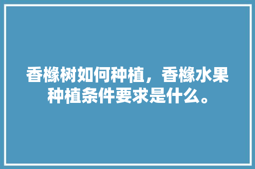 香橼树如何种植，香橼水果种植条件要求是什么。 香橼树如何种植，香橼水果种植条件要求是什么。 蔬菜种植