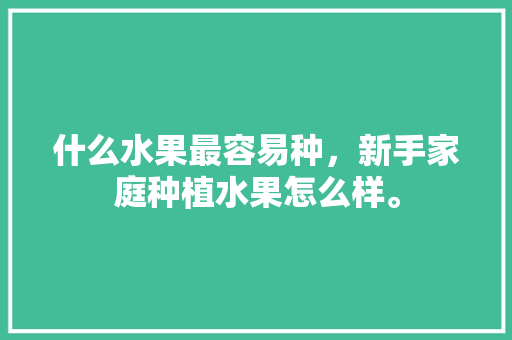 什么水果最容易种，新手家庭种植水果怎么样。 什么水果最容易种，新手家庭种植水果怎么样。 蔬菜种植