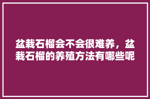 盆栽石榴会不会很难养，盆栽石榴的养殖方法有哪些呢，种植水果盆栽石榴好吗视频。 盆栽石榴会不会很难养，盆栽石榴的养殖方法有哪些呢，种植水果盆栽石榴好吗视频。 畜牧养殖