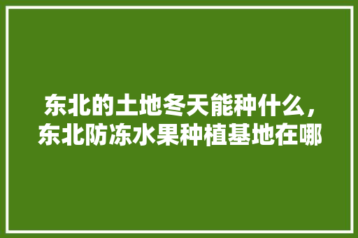 东北的土地冬天能种什么，东北防冻水果种植基地在哪里。 东北的土地冬天能种什么，东北防冻水果种植基地在哪里。 水果种植