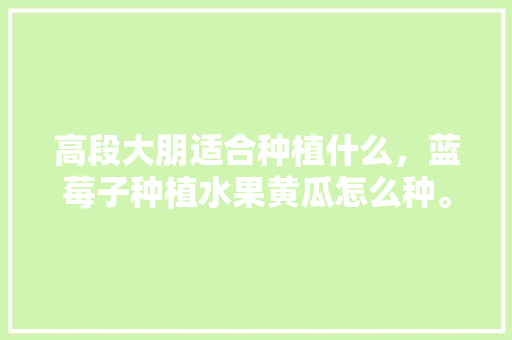 高段大朋适合种植什么，蓝莓子种植水果黄瓜怎么种。 高段大朋适合种植什么，蓝莓子种植水果黄瓜怎么种。 畜牧养殖