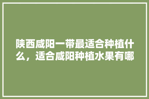 陕西咸阳一带最适合种植什么，适合咸阳种植水果有哪些。 陕西咸阳一带最适合种植什么，适合咸阳种植水果有哪些。 畜牧养殖