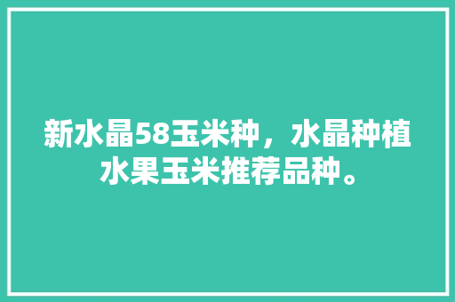 新水晶58玉米种，水晶种植水果玉米推荐品种。 新水晶58玉米种，水晶种植水果玉米推荐品种。 水果种植