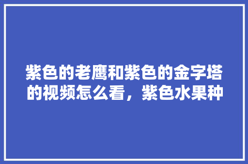 紫色的老鹰和紫色的金字塔的视频怎么看，紫色水果种植技术视频教程。 紫色的老鹰和紫色的金字塔的视频怎么看，紫色水果种植技术视频教程。 蔬菜种植