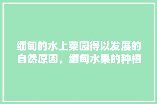 缅甸的水上菜园得以发展的自然原因，缅甸水果的种植方法。 缅甸的水上菜园得以发展的自然原因，缅甸水果的种植方法。 家禽养殖