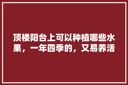 顶楼阳台上可以种植哪些水果，一年四季的，又易养活的，阳台冬季种植水果有哪些。 顶楼阳台上可以种植哪些水果，一年四季的，又易养活的，阳台冬季种植水果有哪些。 家禽养殖