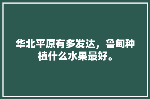 华北平原有多发达，鲁甸种植什么水果最好。 华北平原有多发达，鲁甸种植什么水果最好。 畜牧养殖