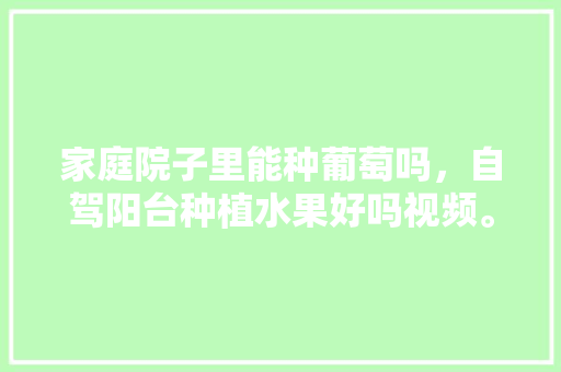 家庭院子里能种葡萄吗，自驾阳台种植水果好吗视频。 家庭院子里能种葡萄吗，自驾阳台种植水果好吗视频。 家禽养殖