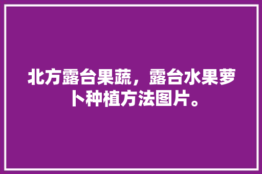 北方露台果蔬，露台水果萝卜种植方法图片。 北方露台果蔬，露台水果萝卜种植方法图片。 土壤施肥